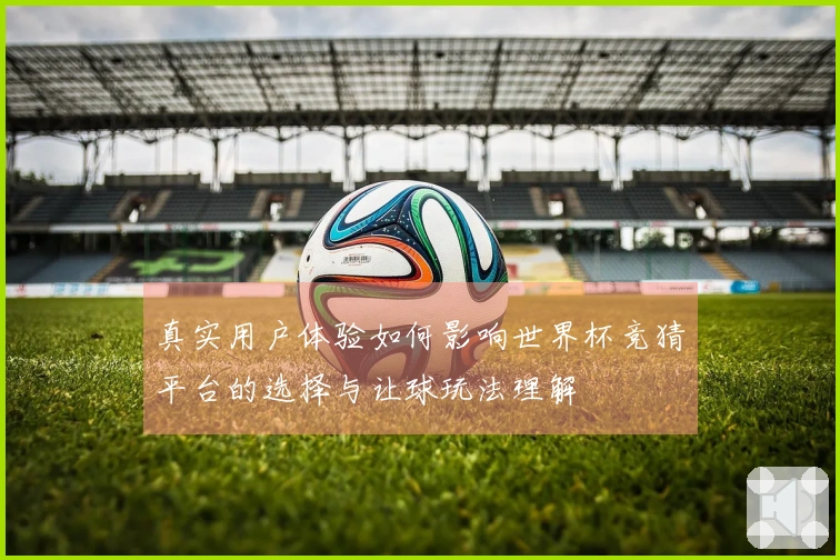 真实用户体验如何影响世界杯竞猜平台的选择与让球玩法理解