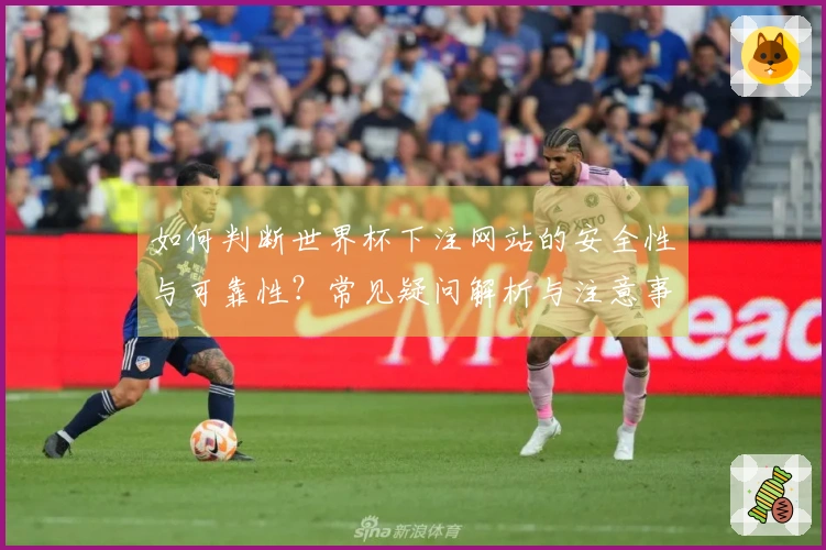 如何判断世界杯下注网站的安全性与可靠性？常见疑问解析与注意事项