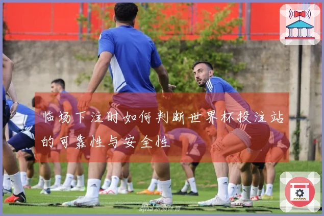 临场下注时如何判断世界杯投注站的可靠性与安全性