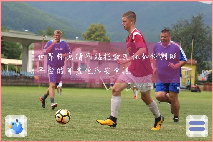 世界杯竞猜网站指数变化如何判断平台的可靠性和安全性